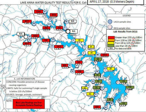 HIGH LEVELS OF E-COLI FOUND IN LAKE ANNA